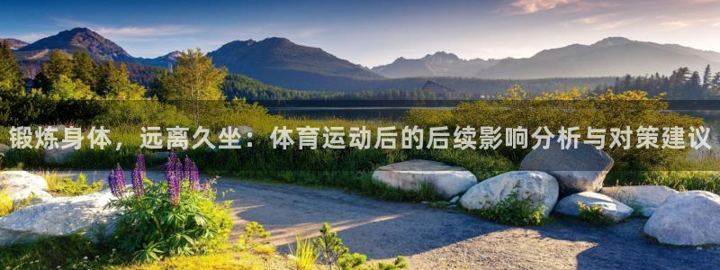 急速体育：锻炼身体，远离久坐：体育运动后的后续影响分析与对策建议