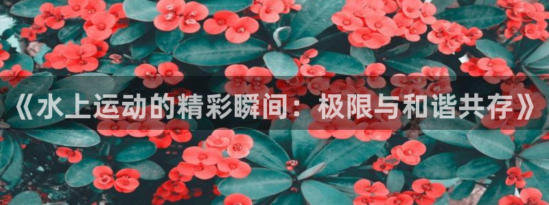 急速体育直播nba：《水上运动的精彩瞬间：极限与和谐共存》