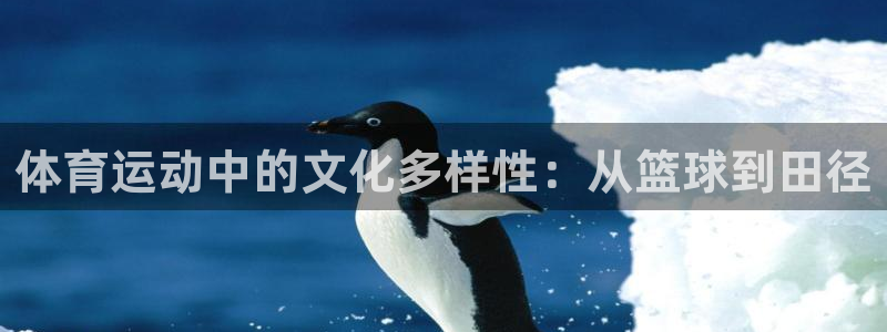 急速体育nba：体育运动中的文化多样性：从篮球到田径