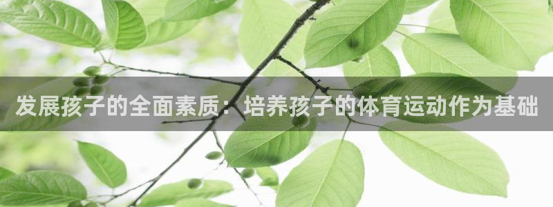 急速体育：发展孩子的全面素质：培养孩子的体育运动作为基础