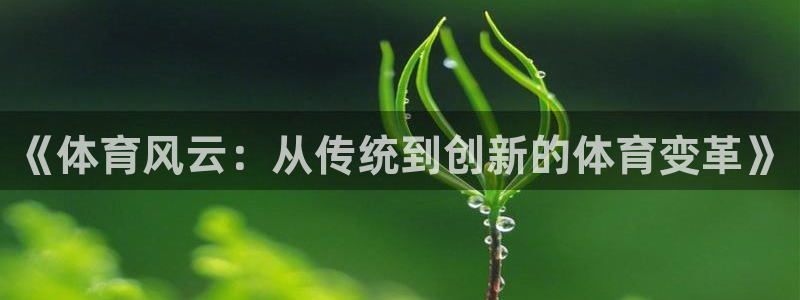 急速体育nba直播在线观看：《体育风云：从传统到创新的体育变革》