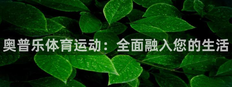 急速体育nba直播在线观看：奥普乐体育运动：全面融入您的生活