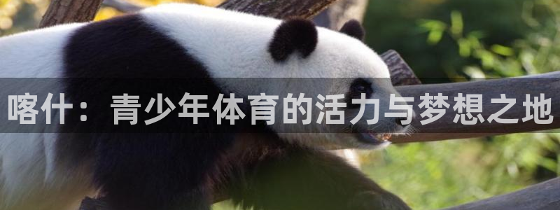 急速体育nba直播在线观看：喀什：青少年体育的活力与梦想之地