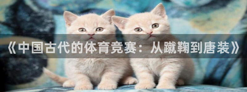 急速体育nba：《中国古代的体育竞赛：从蹴鞠到唐装》